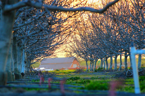电脑短信轰炸机