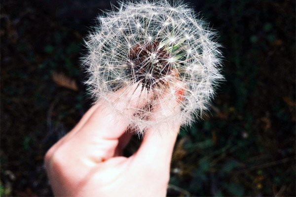 在线短信轰炸平台