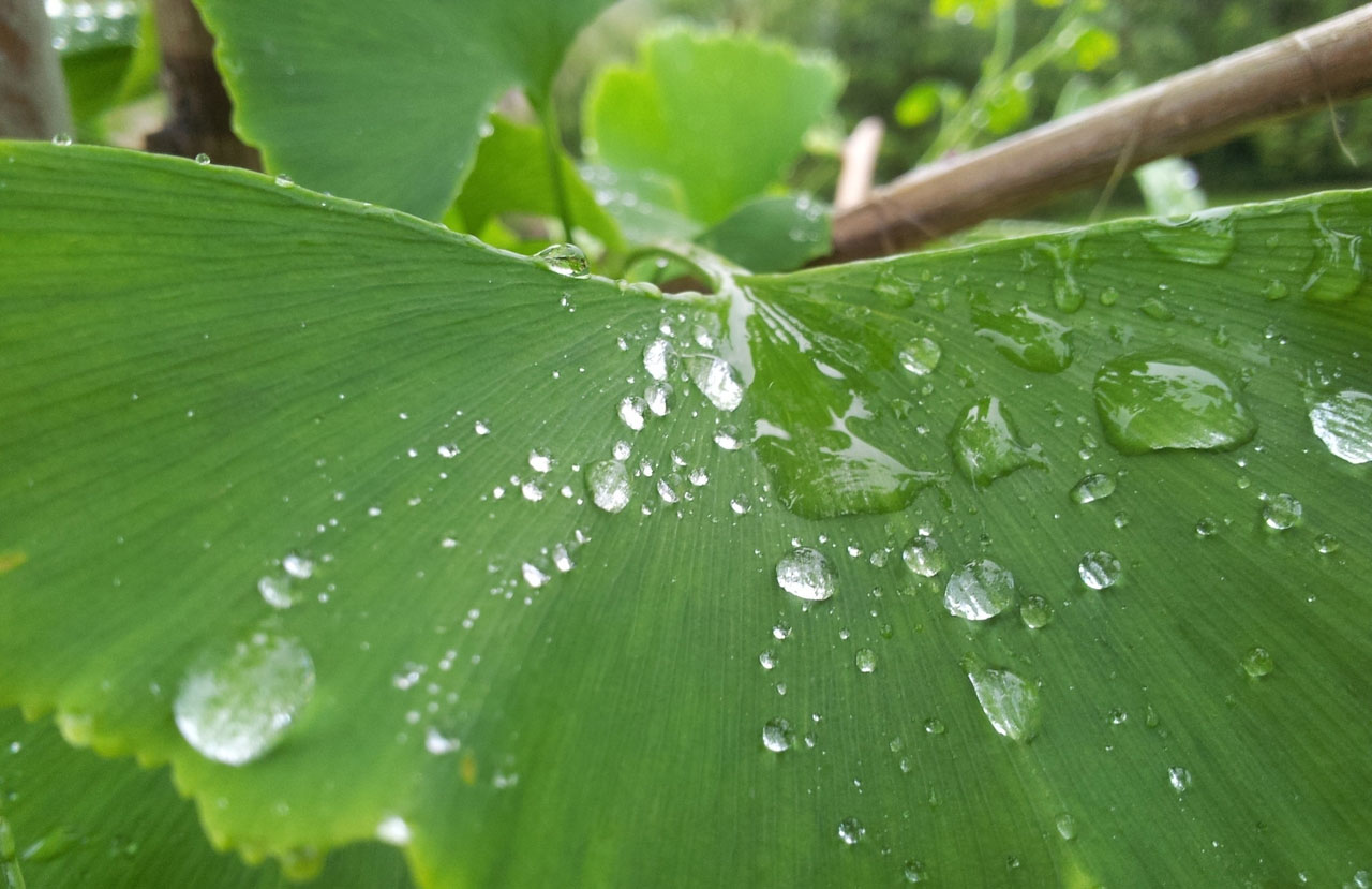 免费24小时不停呼叫软件下载